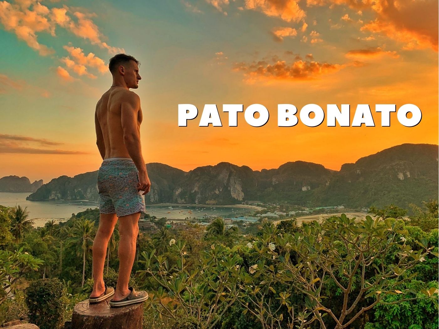 Pato Bonato